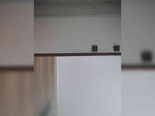 LunaBiely webcam