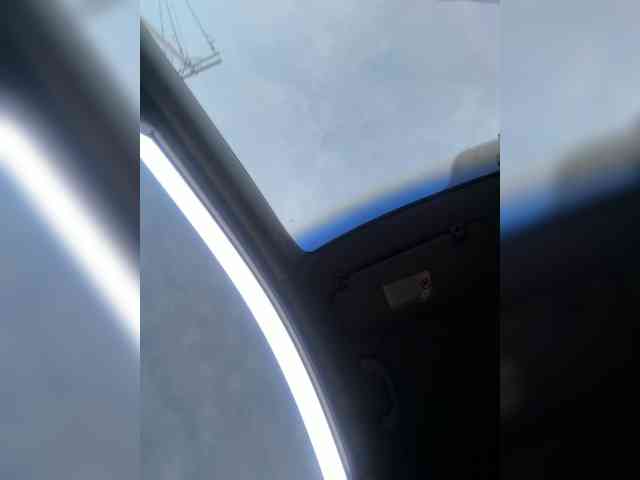 LunaBiely webcam