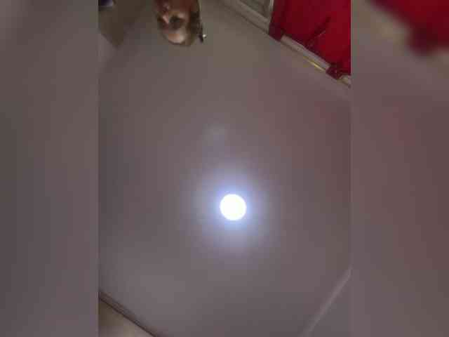 LunaBiely