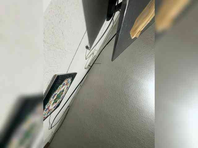 LunaBiely webcam