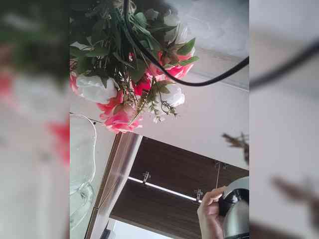 LunaBiely webcam