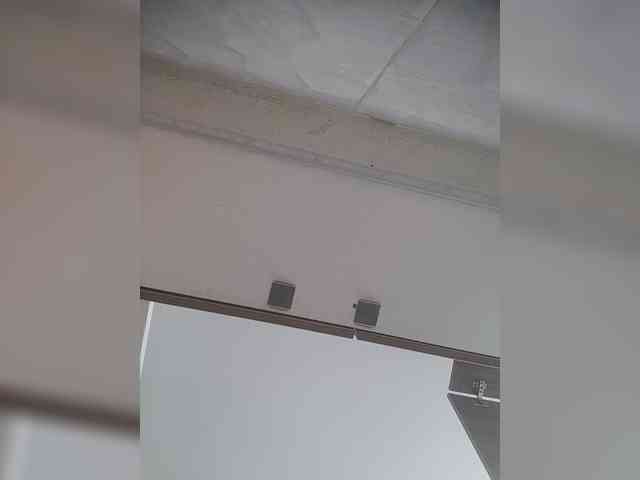 LunaBiely webcam