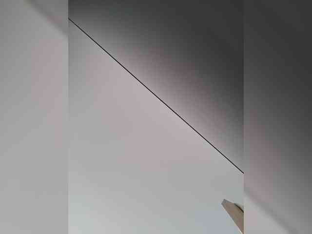 LunaBiely webcam