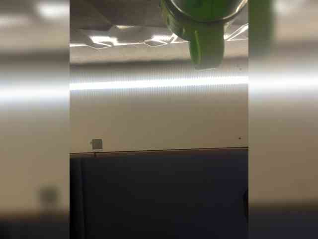 LunaBiely webcam