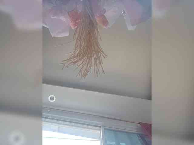 LunaBiely webcam