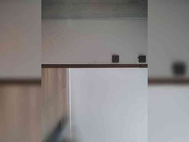 LunaBiely webcam