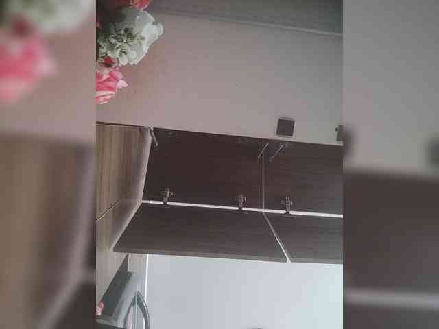 LunaBiely webcam