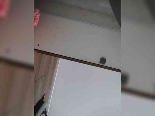 LunaBiely webcam