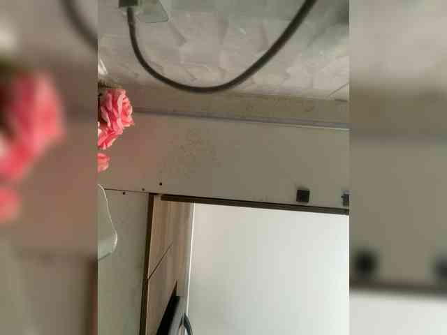 LunaBiely webcam