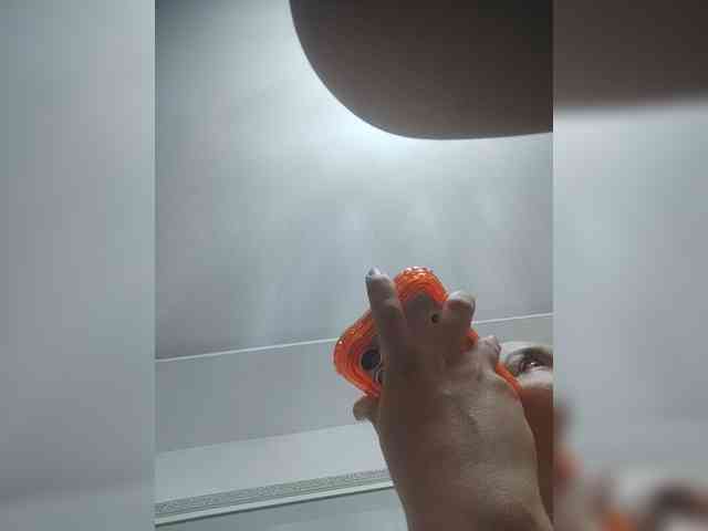 LunaBiely webcam
