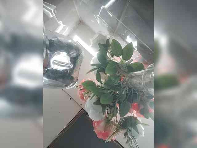 LunaBiely webcam