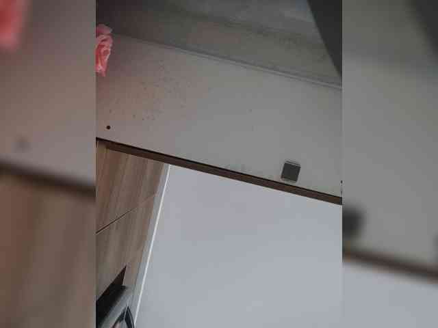 LunaBiely webcam