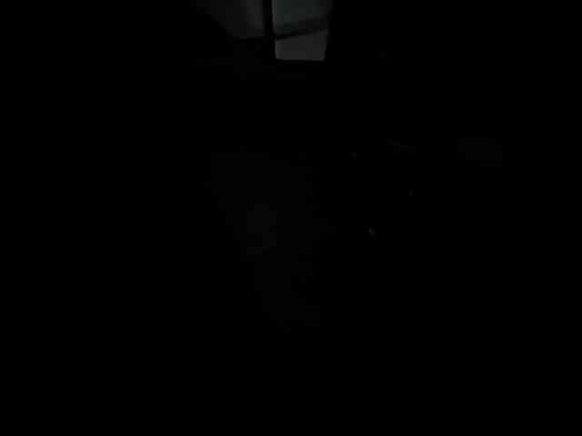 LunaBiely webcam