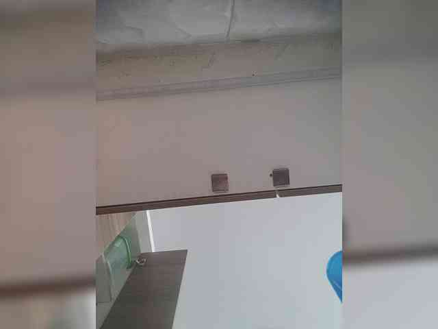 LunaBiely webcam