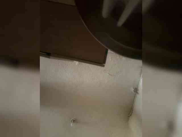 LunaBiely webcam