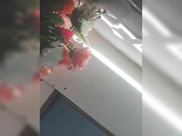 LunaBiely webcam