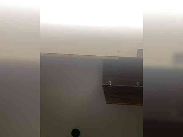 LunaBiely webcam