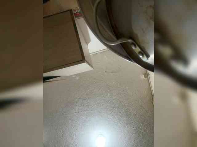 LunaBiely webcam