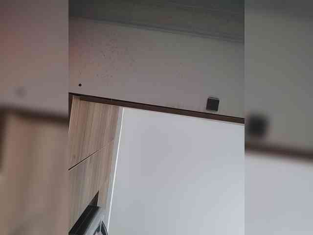 LunaBiely webcam