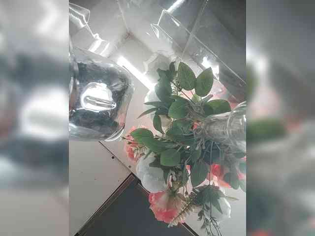 LunaBiely webcam