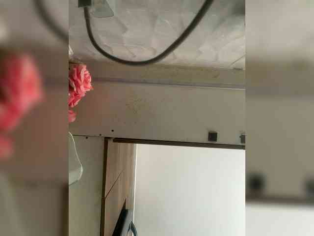 LunaBiely webcam