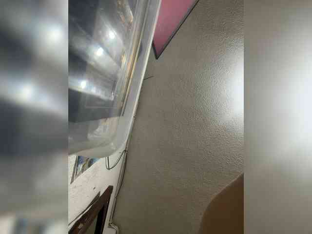 LunaBiely webcam