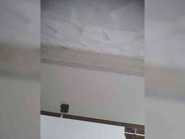 LunaBiely webcam