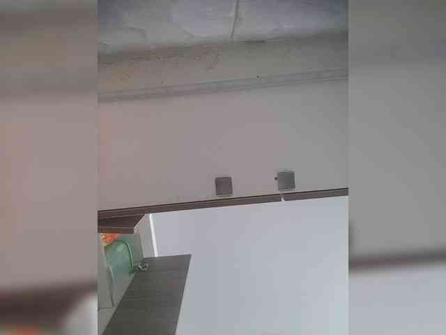 LunaBiely webcam