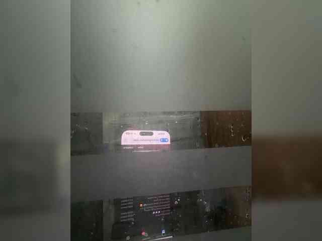 LunaBiely webcam