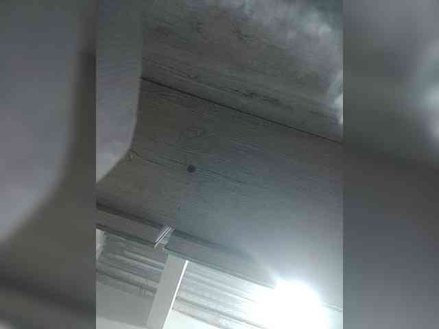 LunaBiely webcam