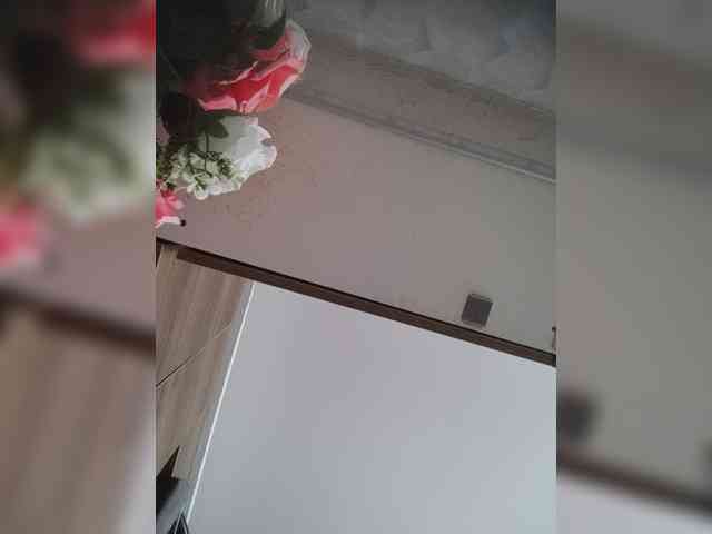 LunaBiely webcam