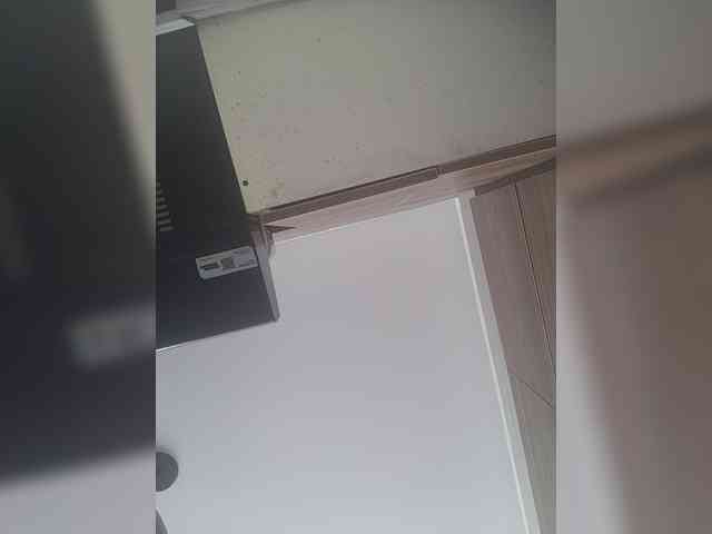 LunaBiely webcam