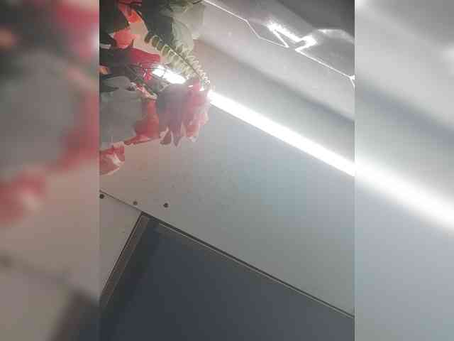 LunaBiely webcam
