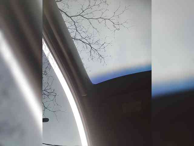 LunaBiely webcam