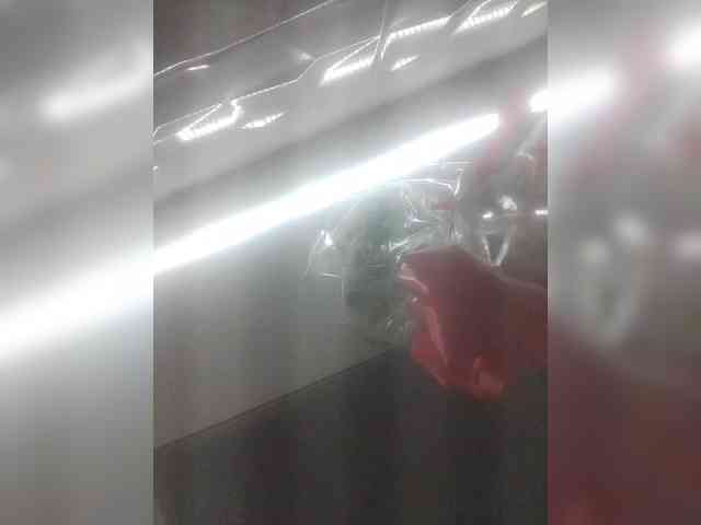 LunaBiely webcam