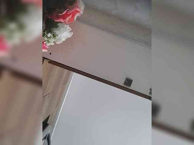 LunaBiely webcam