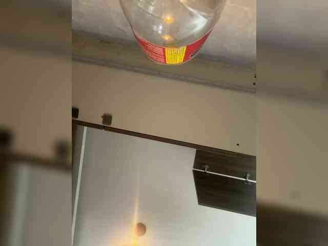 LunaBiely webcam