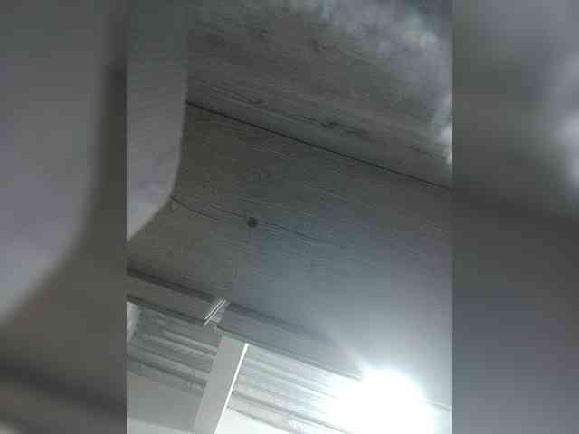 LunaBiely webcam
