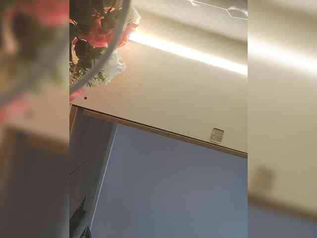 LunaBiely webcam