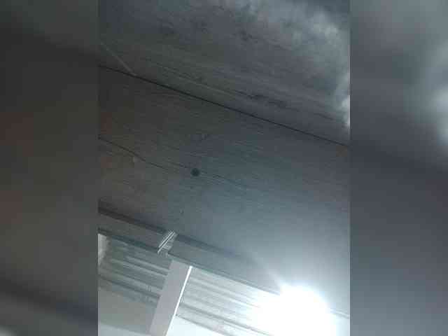 LunaBiely webcam