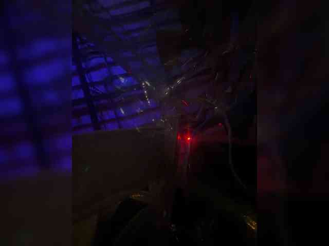 LunaBiely webcam