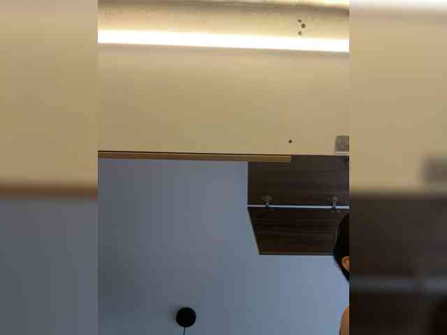 LunaBiely webcam