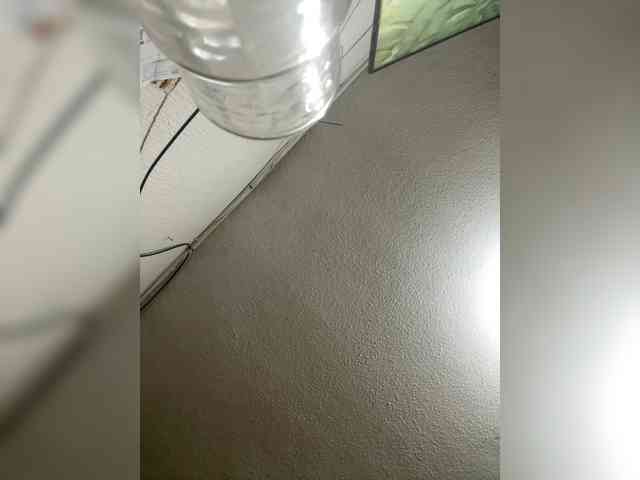 LunaBiely webcam