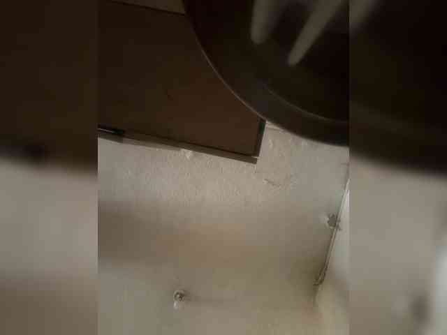 LunaBiely webcam
