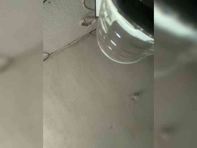 LunaBiely webcam