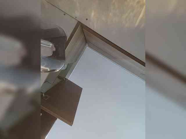 LunaBiely webcam