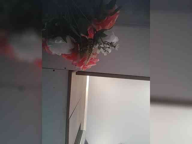 LunaBiely webcam