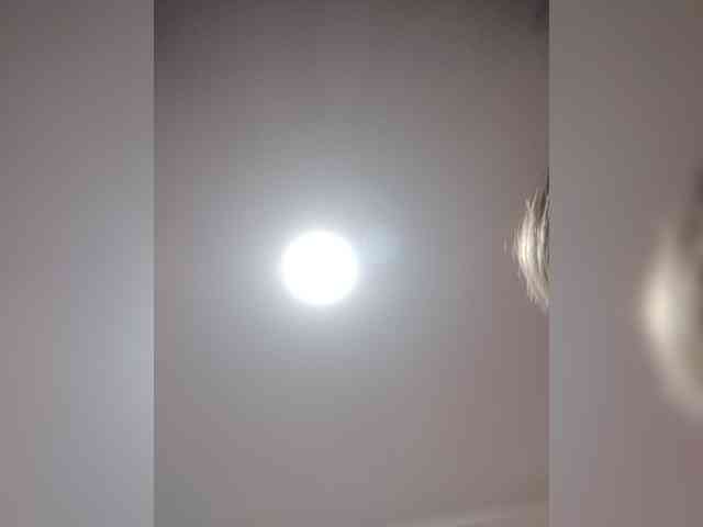 LunaBiely webcam