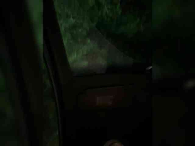 LunaBiely webcam