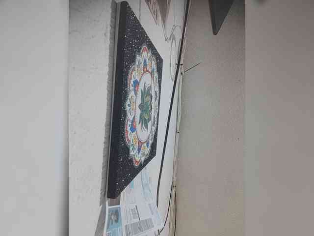 LunaBiely webcam